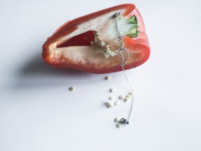 Náramek chilli paprička