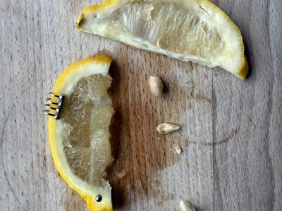 Ear cuff čtyři kroužky