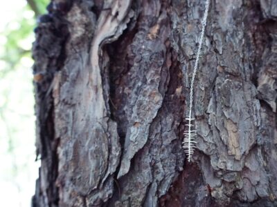 Řetízek les dlouhý